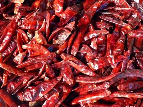 nandikoti_Chilli Cold Storage